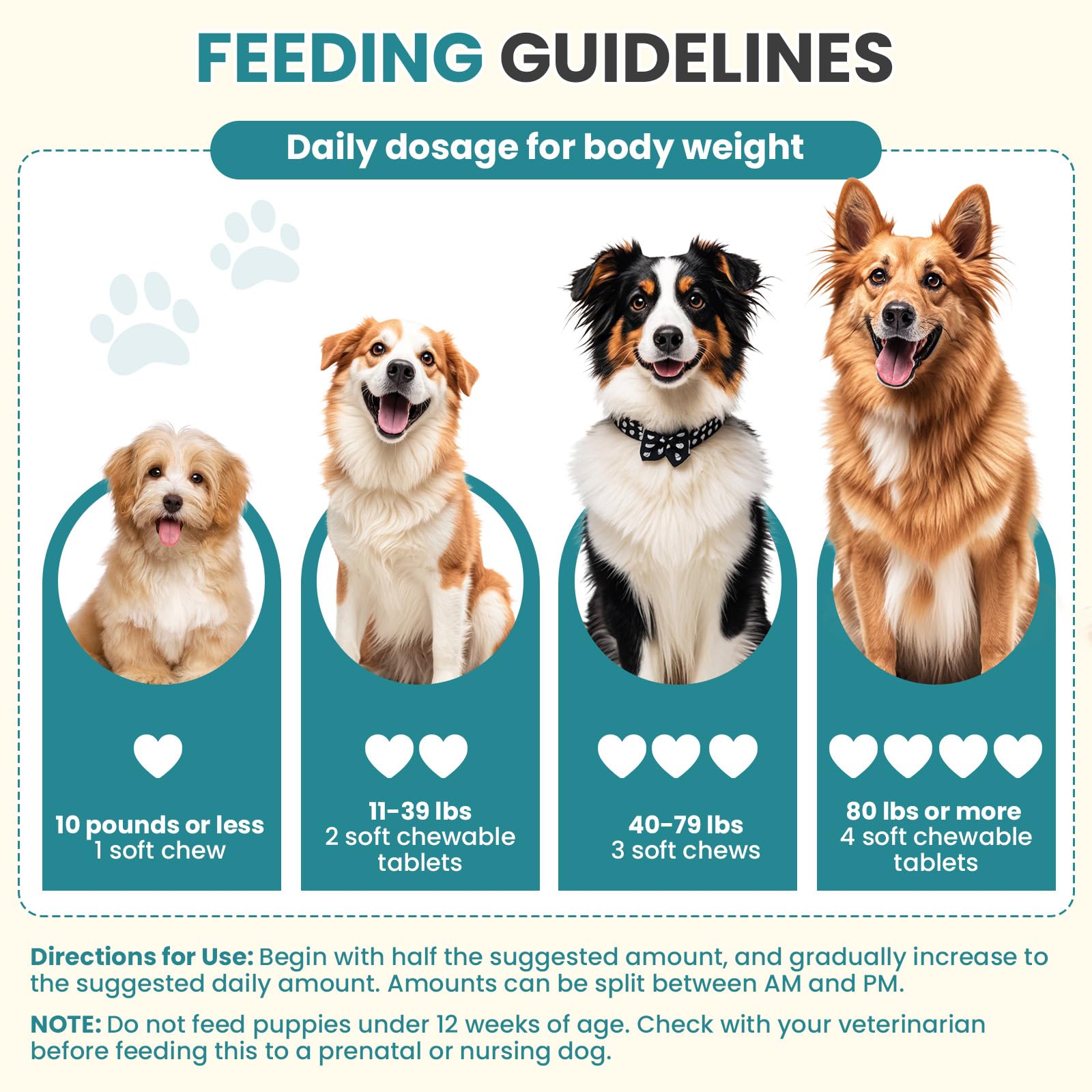 TzzyiC dog probiotics immune support close-up on label for wellness.
