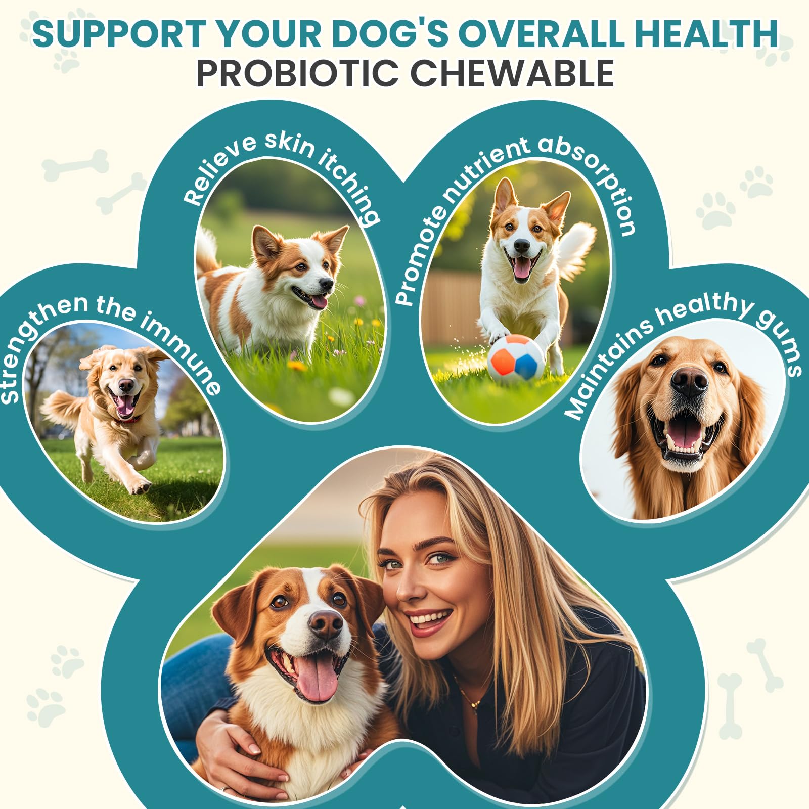 TzzyiC dog probiotics no-wheat-soy formula supports sensitive diets.