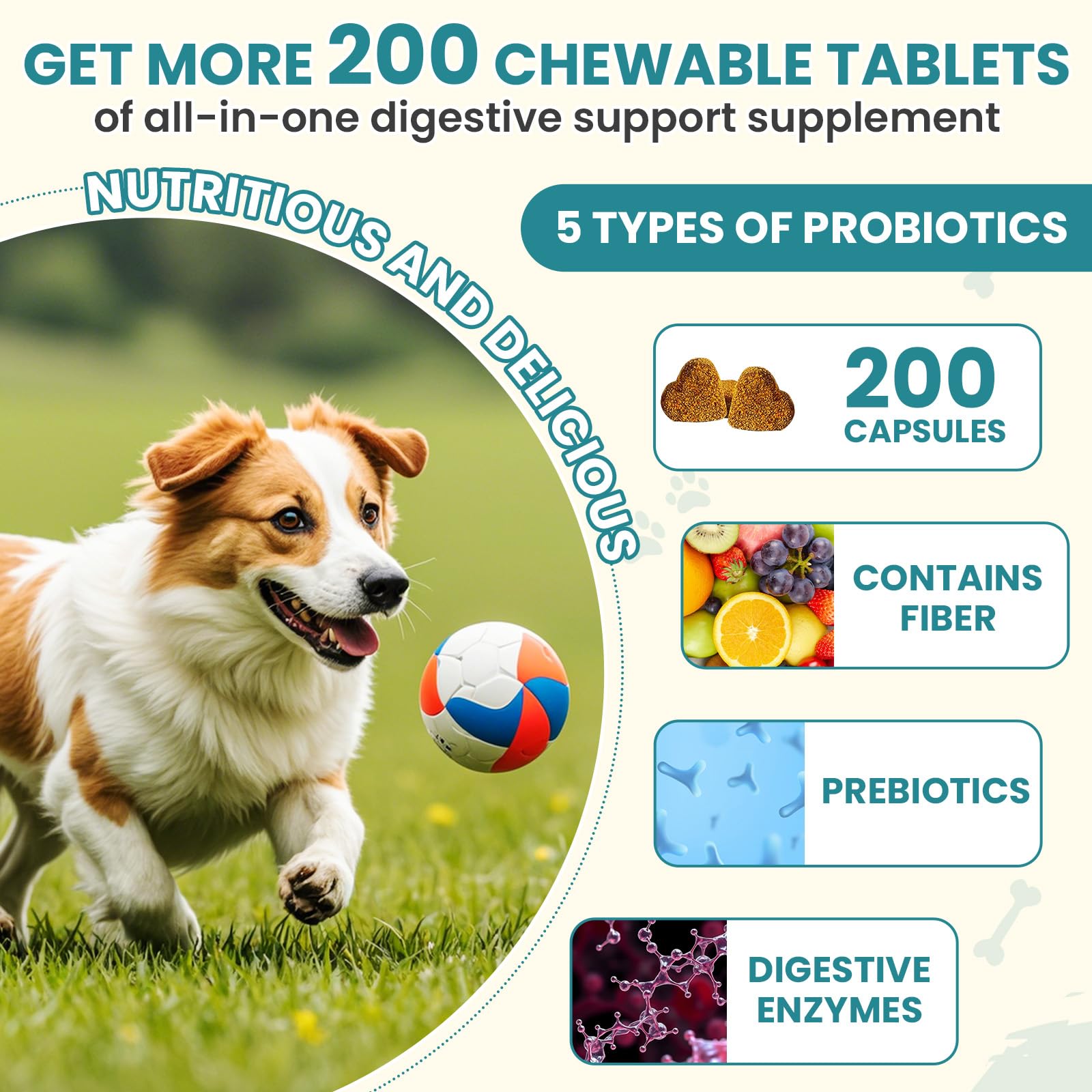 TzzyiC probiotics pumpkin-inulin ingredients highlight gut-nourishing nutrients.