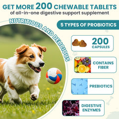 TzzyiC probiotics pumpkin-inulin ingredients highlight gut-nourishing nutrients.