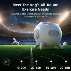 uahpet automatic ball launcher play modes offer structured and varied fetch