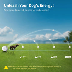 A dog enjoys fetch with the uahpet iRetriever ball during a playful outdoor session