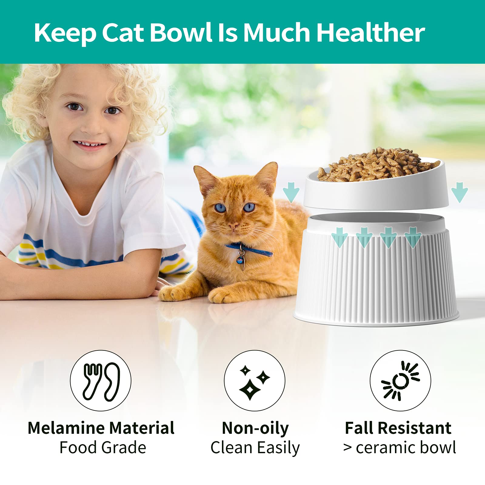 uahpet elevated cat bowl removable bowls shows easy disassembly for cleaning and prep
