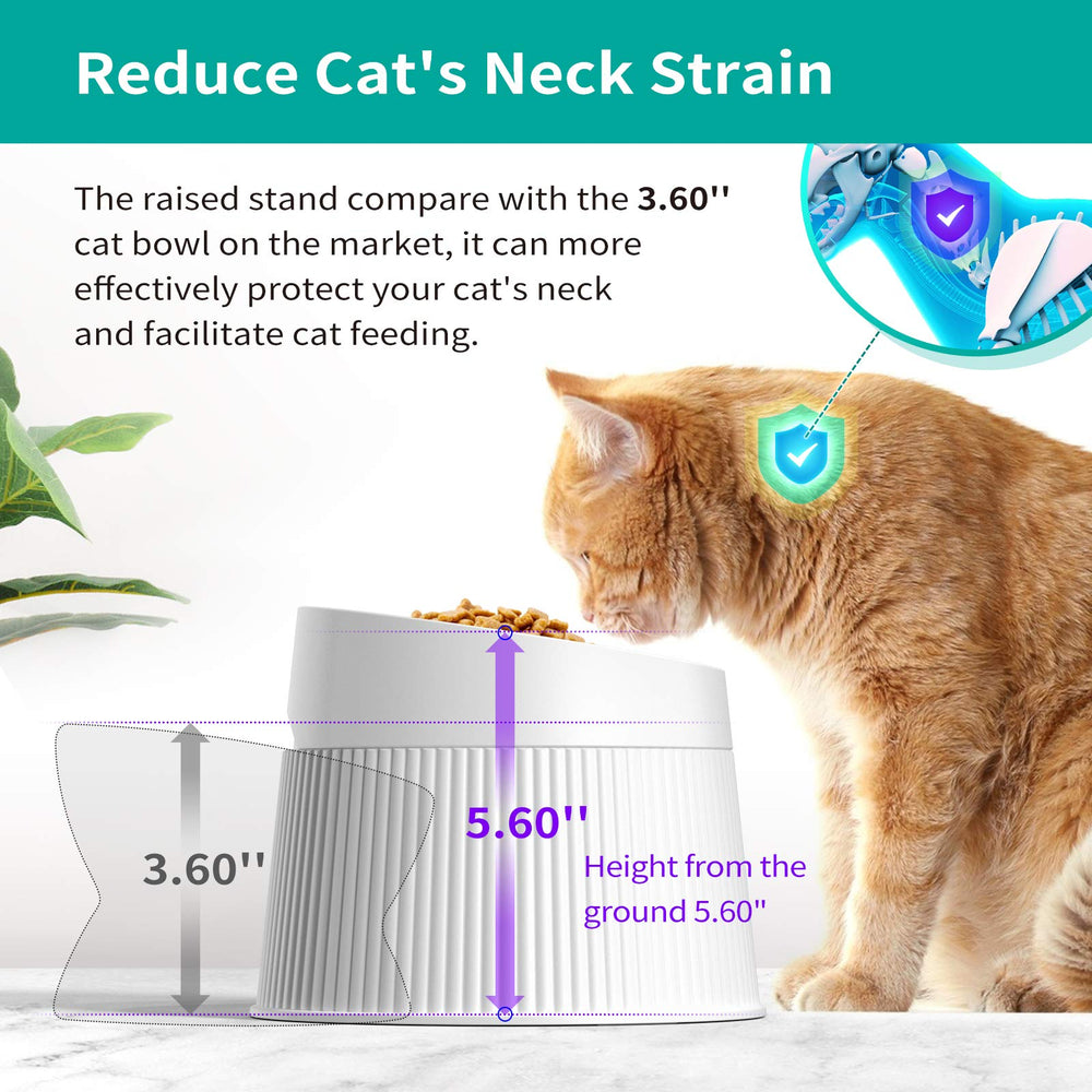 uahpet elevated cat bowl tilt view highlights 17-degree tilt centering food and reducing whisker contact