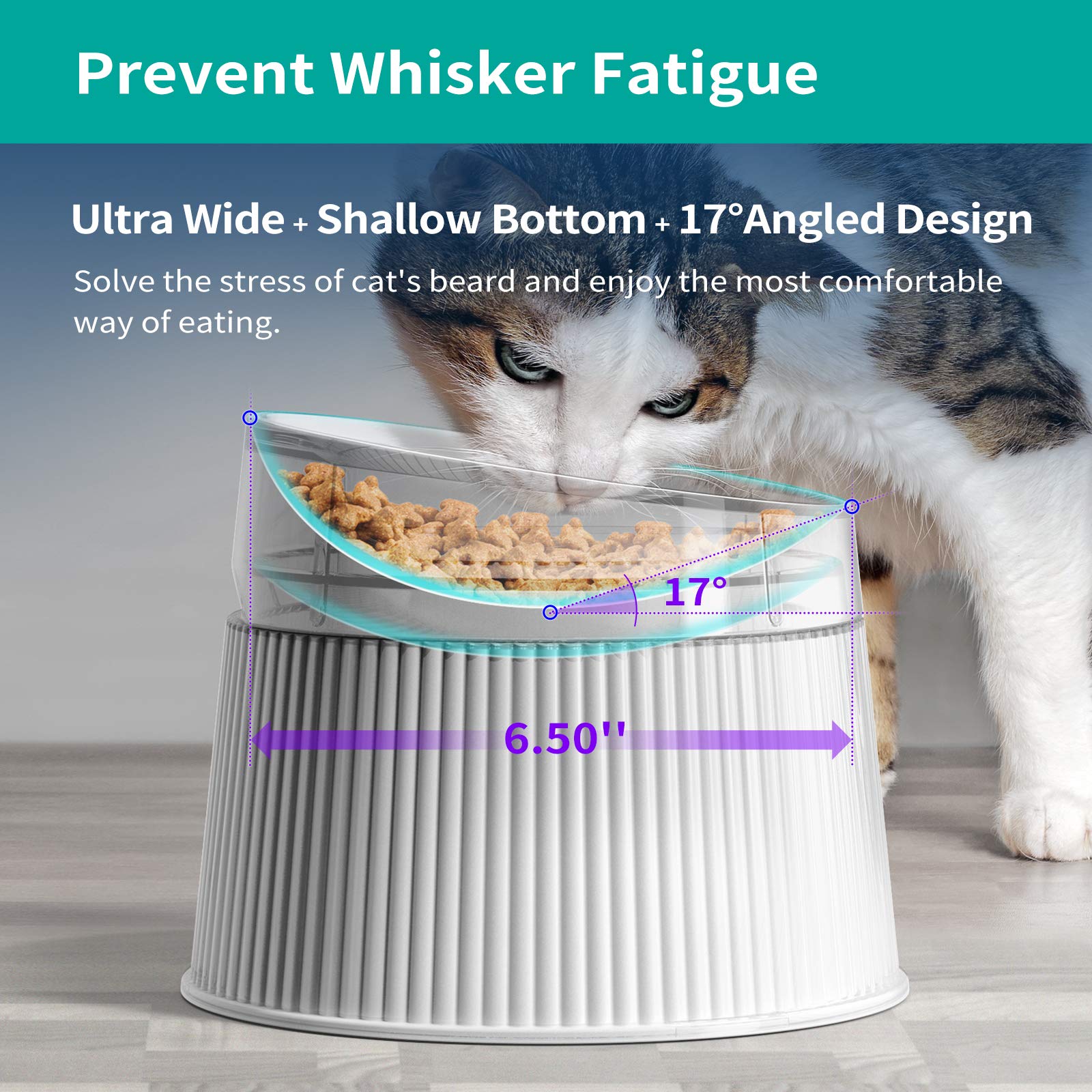 uahpet elevated cat bowl wide bowl demonstrates whisker-friendly width and gentler feeding experience