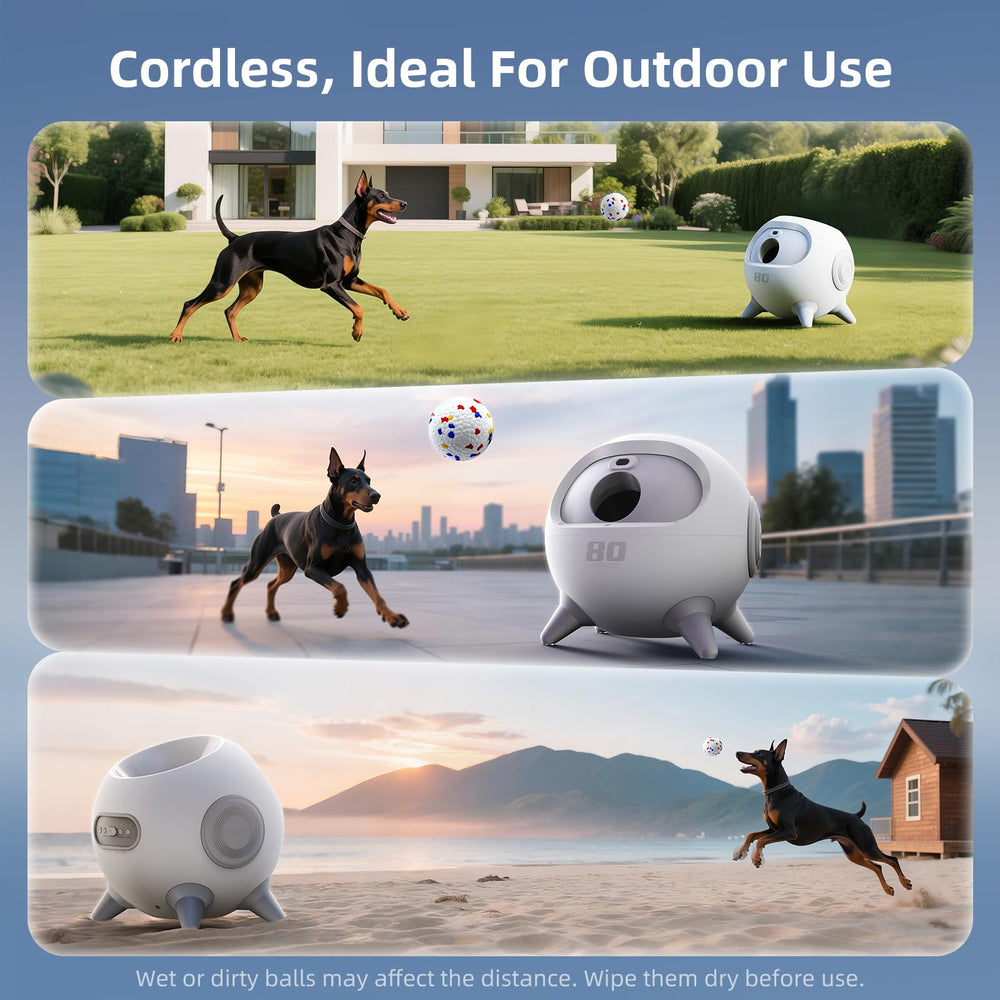 uahpet premium eTPU balls included ensure durable bounce for busy fetch.