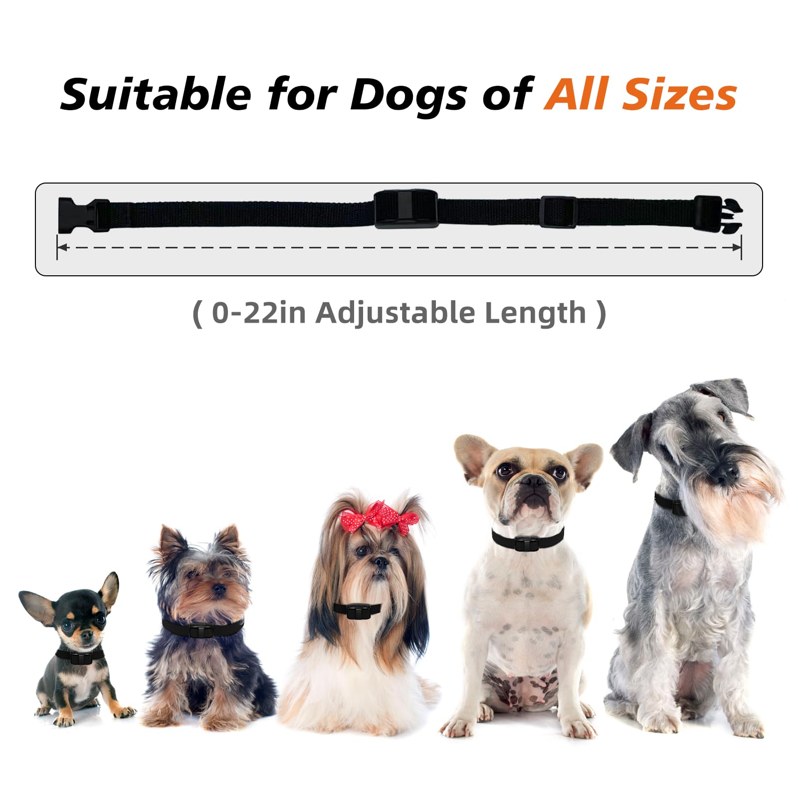 UbaNinva Tiniest Dog Shock Collar packaging shows compact setup for travel.