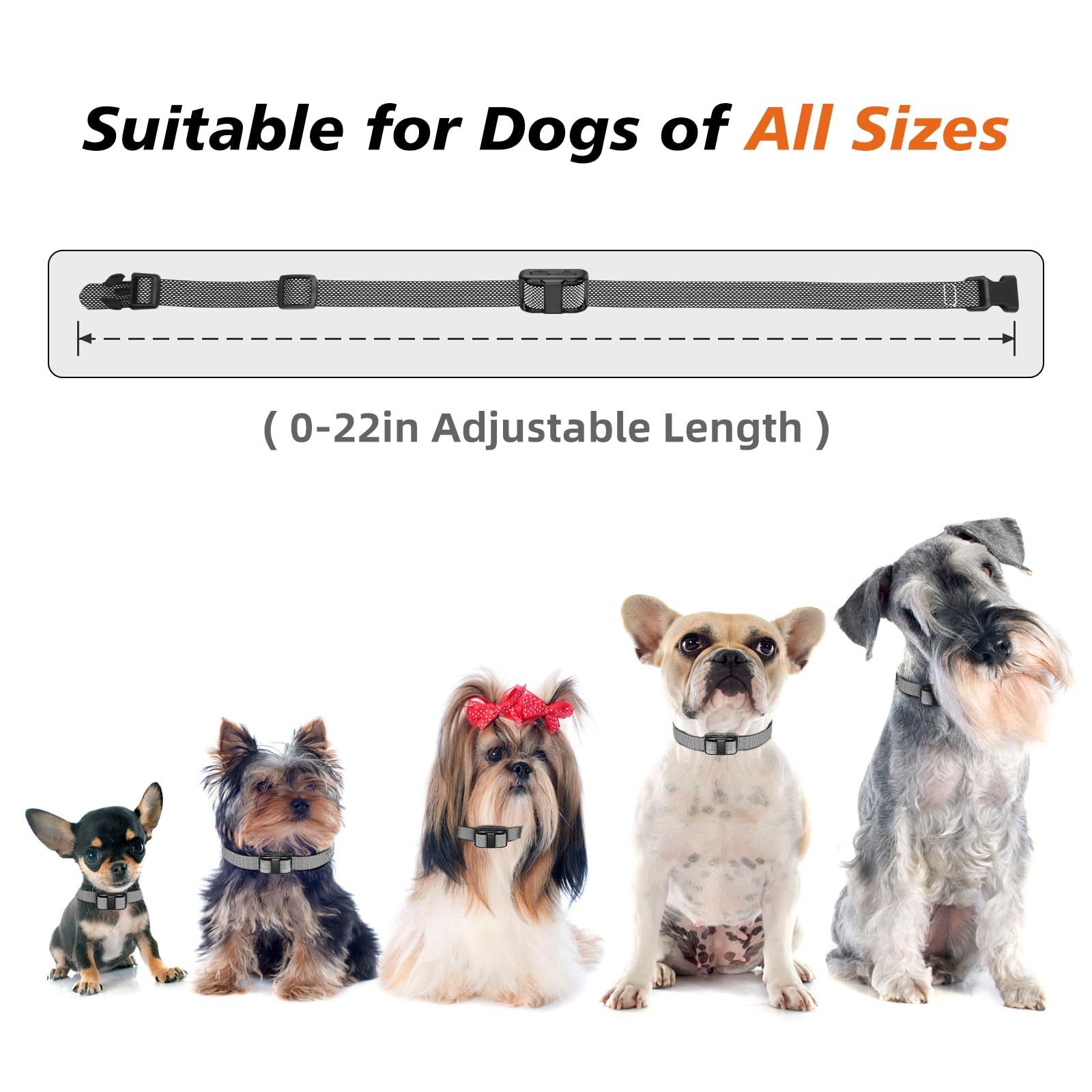 UbaNinva safety-features ensure humane basics with non-shock default and safety lock