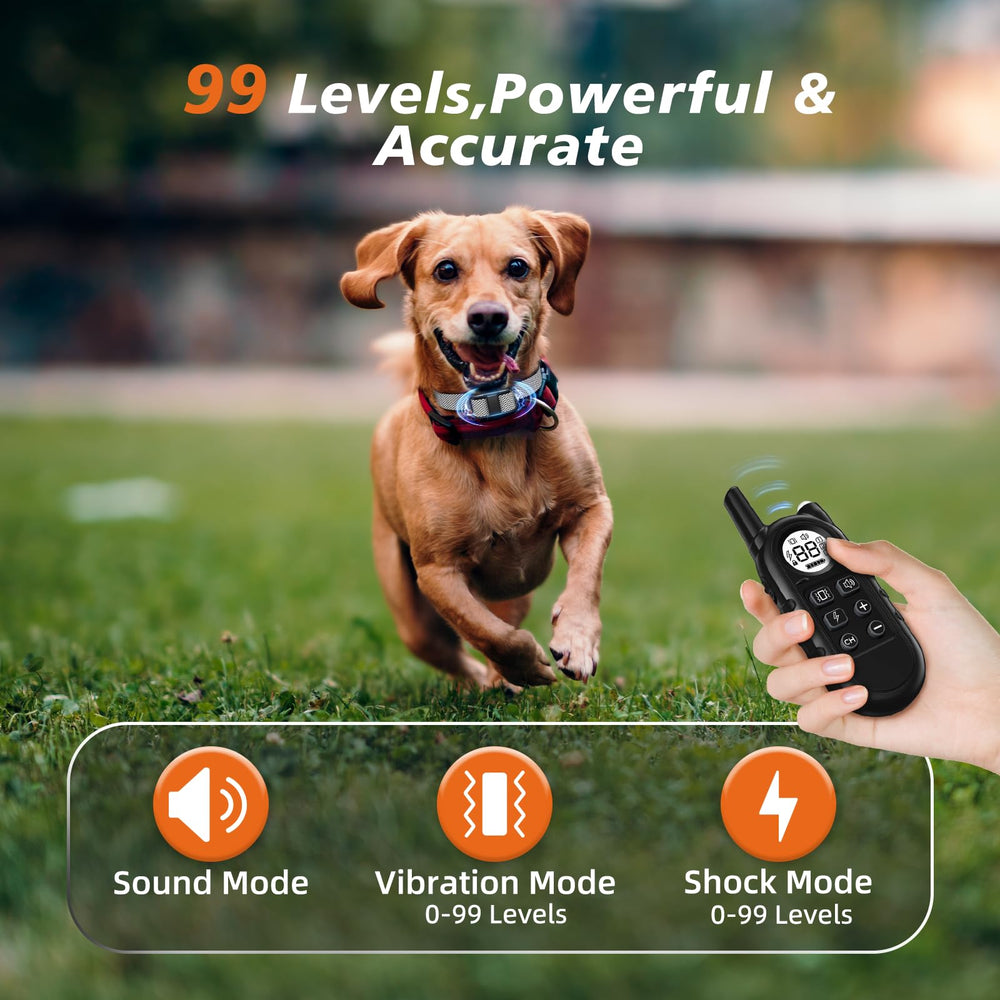 UbaNinva waterproof-rechargeable collar stands up to rain and daily wear