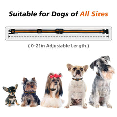 UbaNinva waterproof collar with IPX7 rating protects training from rain and splashes.