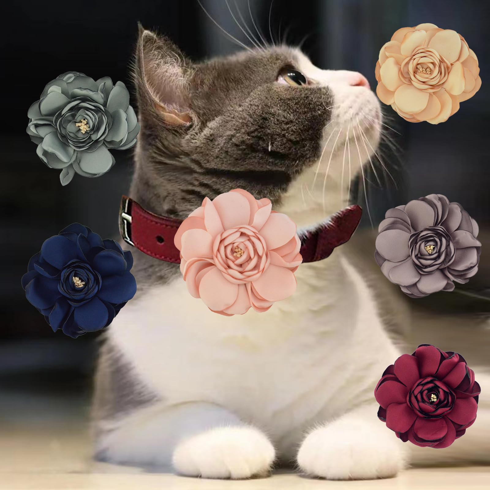 UBQUBQ florals sparkle during celebrations like birthdays and weddings on pet collars.
