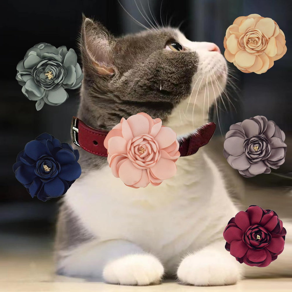 UBQUBQ florals sparkle during celebrations like birthdays and weddings on pet collars.