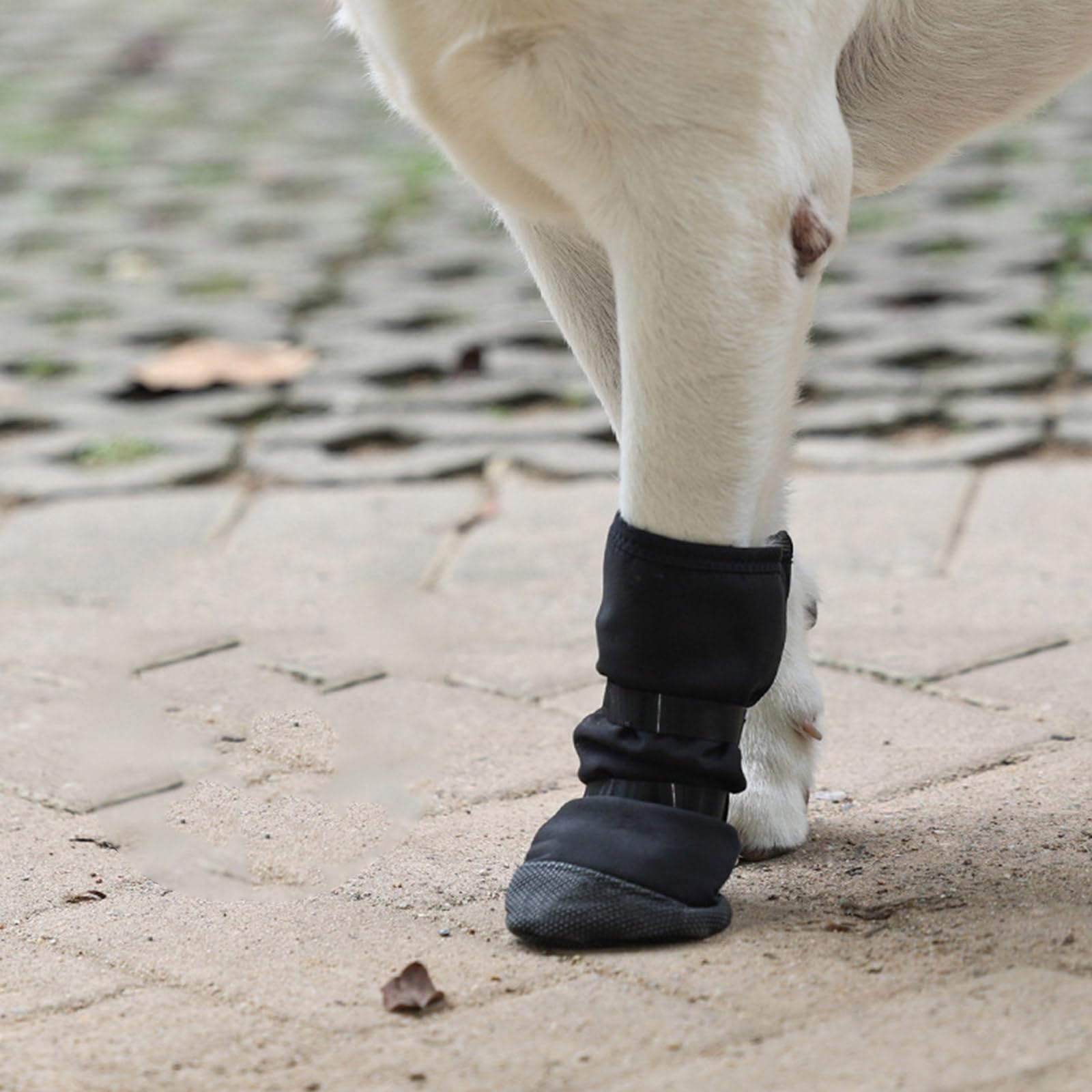 Ubxvamm dog paws protector boot easy-clean design supports hygiene