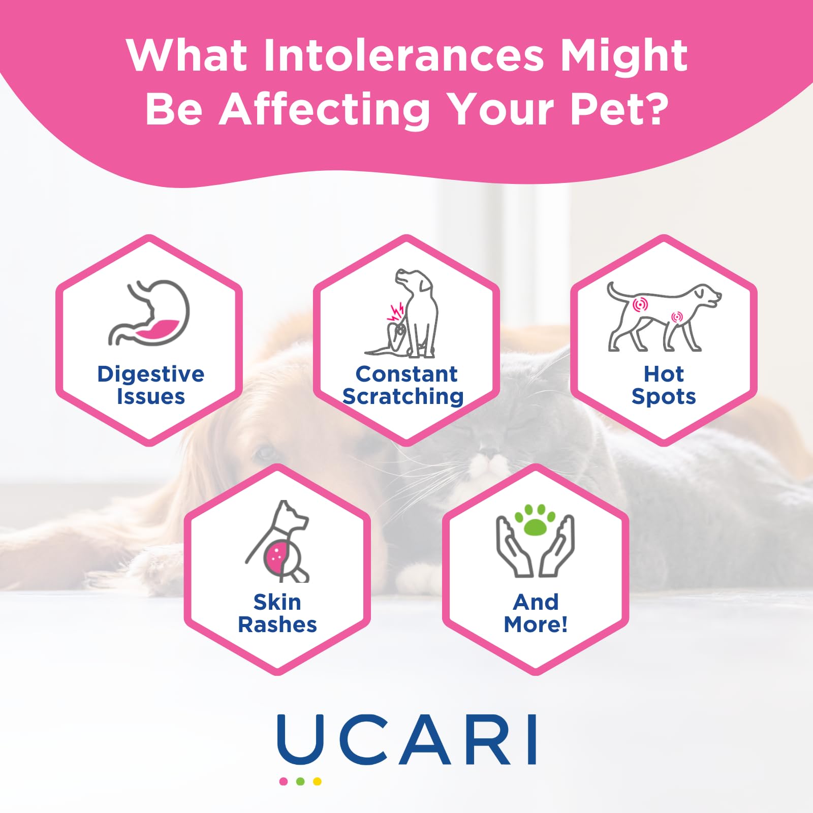 UCARI Pet Sensitivity Test mailing bag ready for convenient submission.