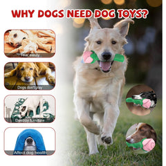 ucho dog toy interactive play session supports boredom relief for dogs.