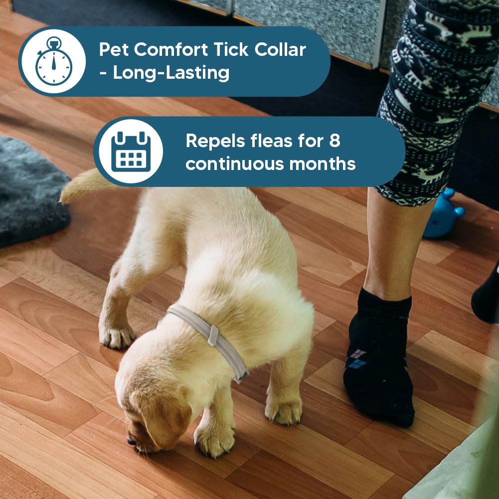 UDyoude dogs outdoors wearing collar for ongoing pest defense