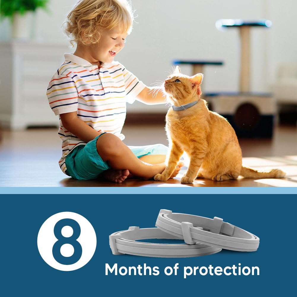 UDyoude flea collar cat buckle adjustment shows easy secure fit