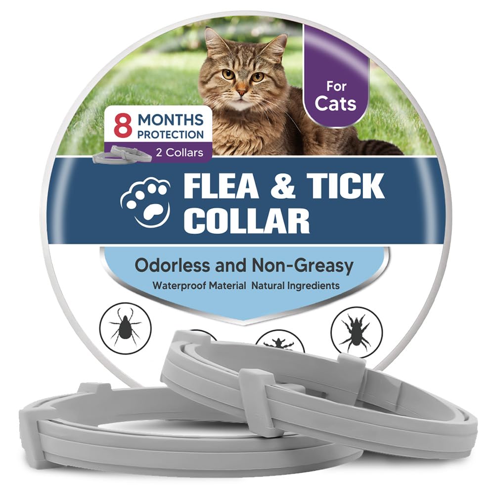UDyoude flea collar cat closeup shows durable pest protection