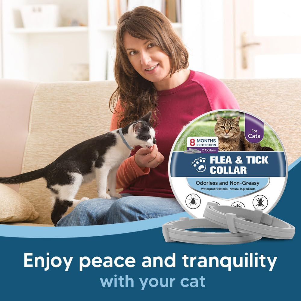UDyoude flea collar cat in use captures daily wear and pest defense