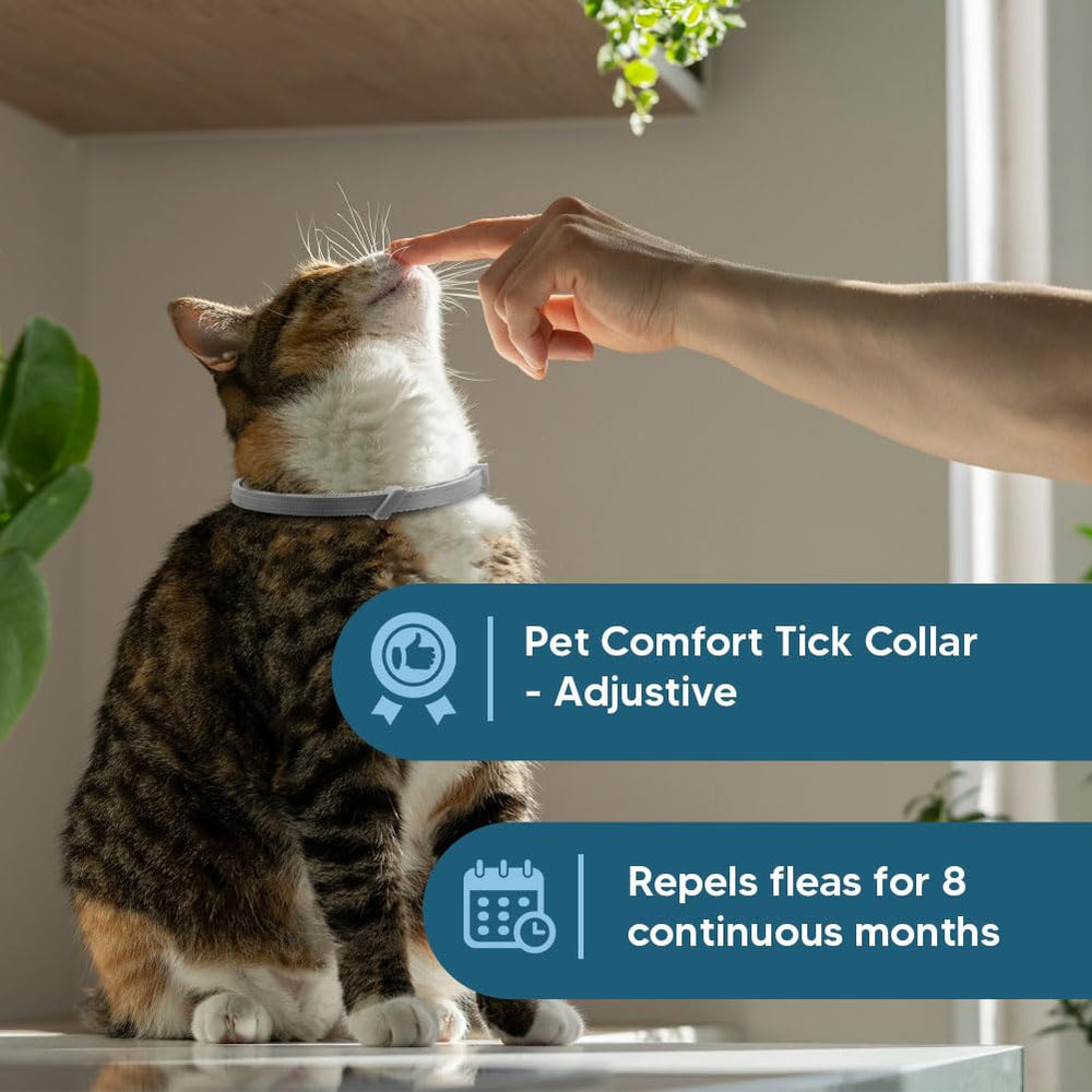 UDyoude flea collar cat kitten 8 weeks suitable for kittens over eight weeks