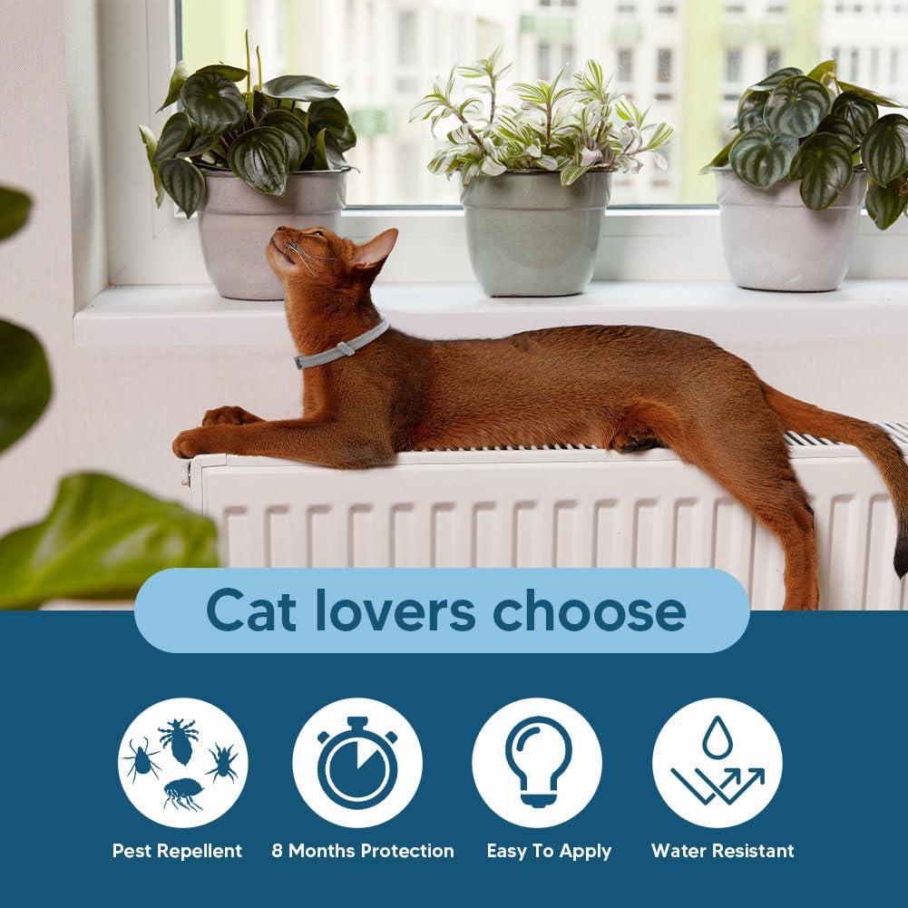 UDyoude flea collar cat pack 2 highlights value and ongoing protection