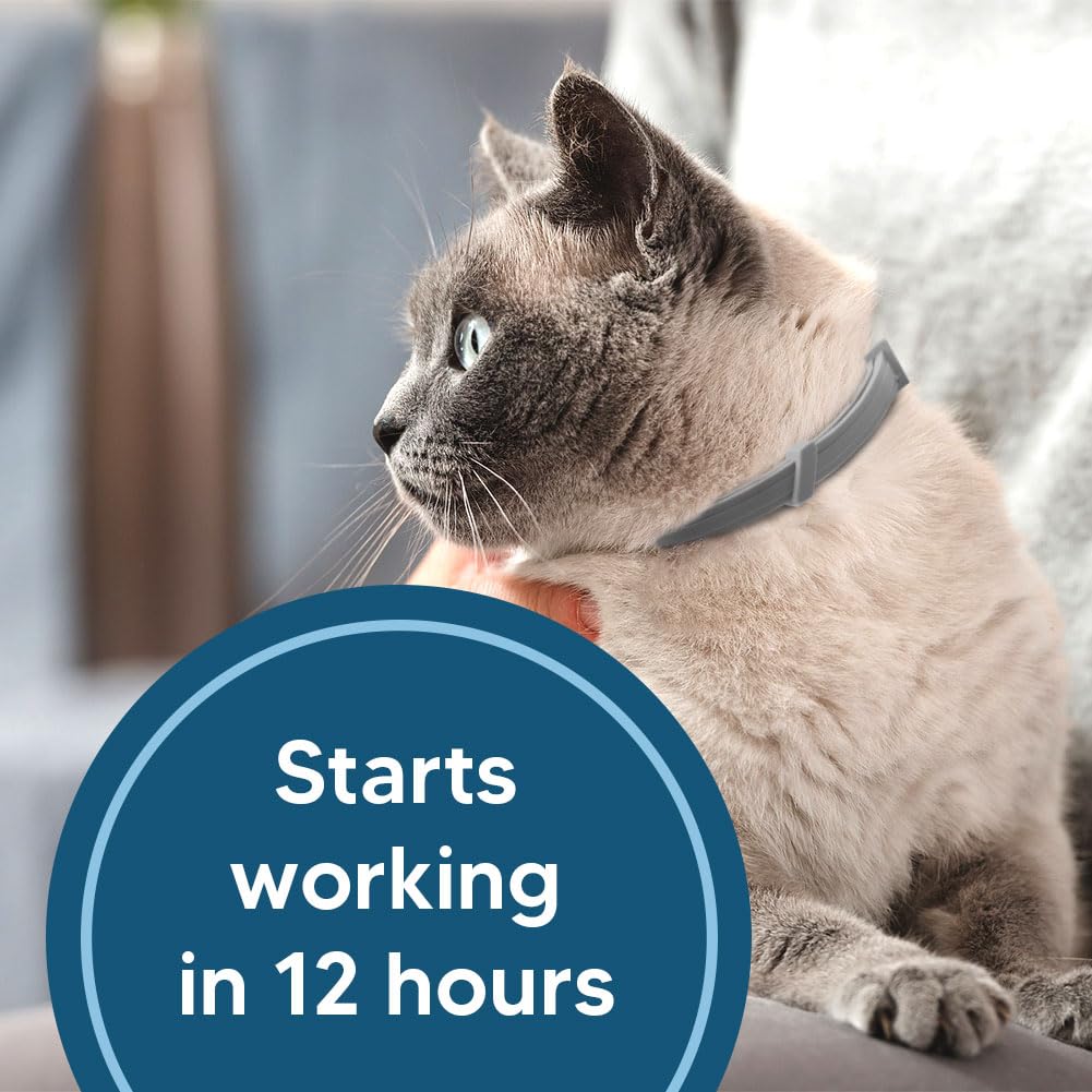 UDyoude flea collar cat weatherproof image illustrates rain or sun durability