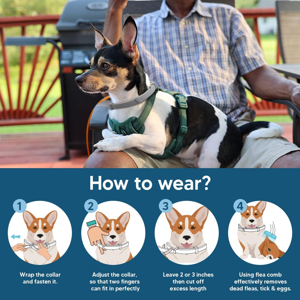 UDyoude puppy under 18 lbs closeup buckle shows easy adjustment