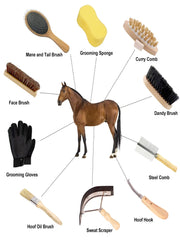 Ueemph face brush shown for gentle daily horse cleaning