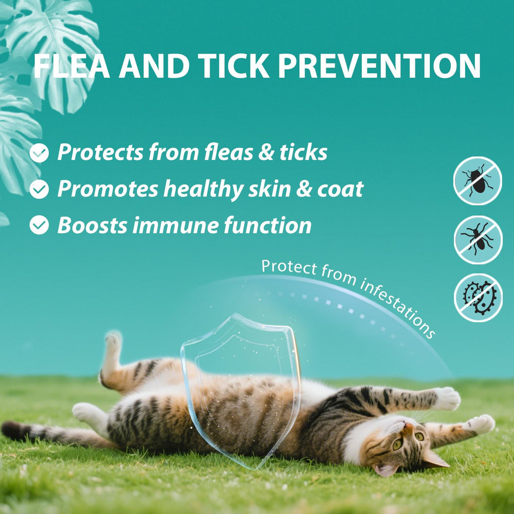 UEOWJET cat chews chicken flavor treats for easy pest prevention.