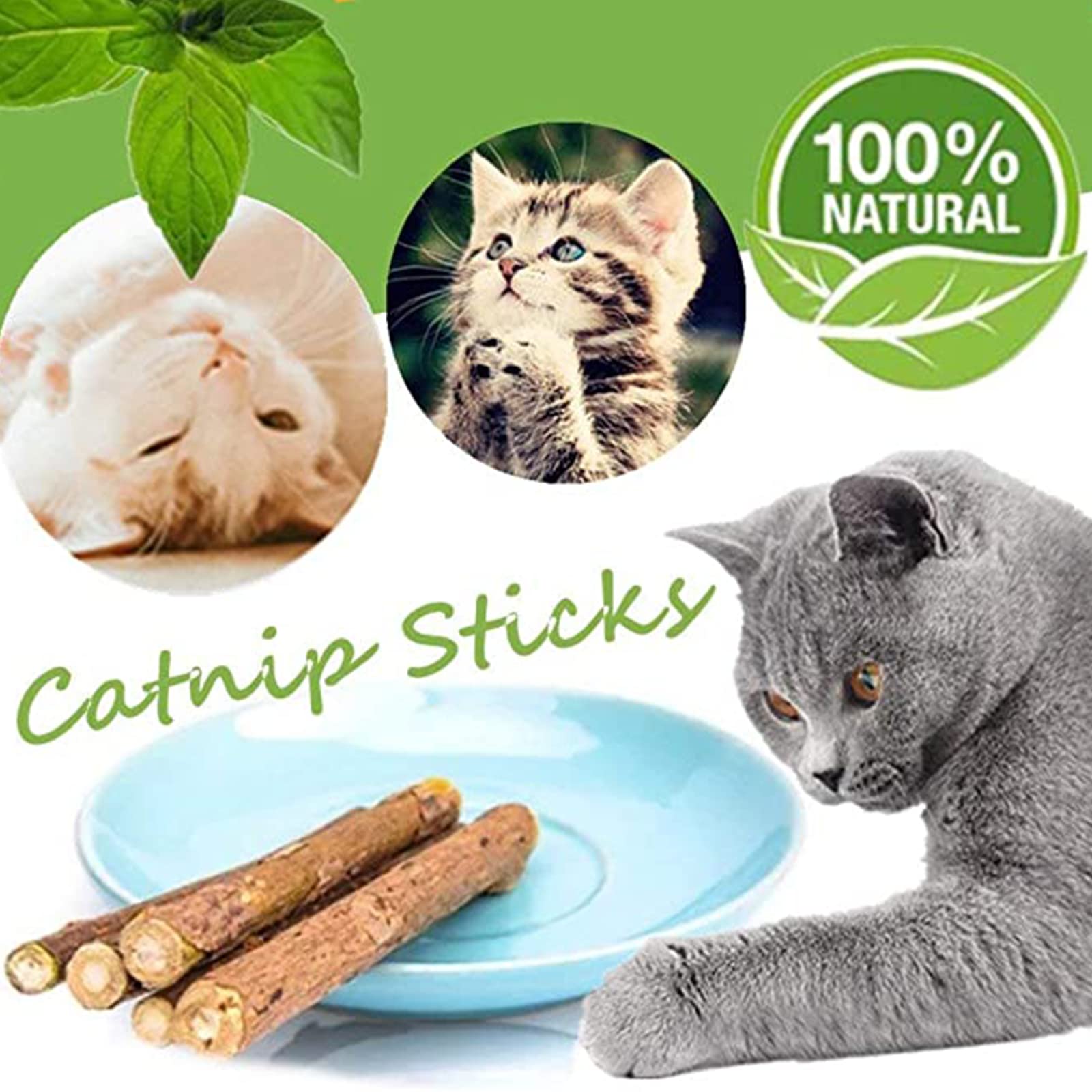 Ueerdand catnip sticks during playtime encourage owner-pet interaction
