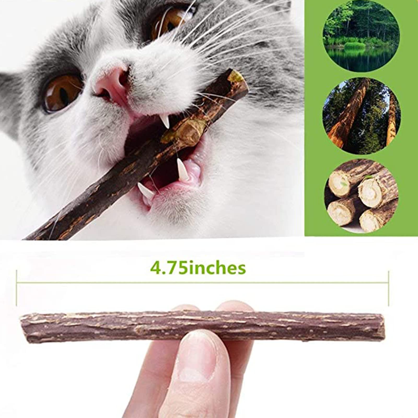 Ueerdand catnip sticks action—teeth-friendly play during chew sessions