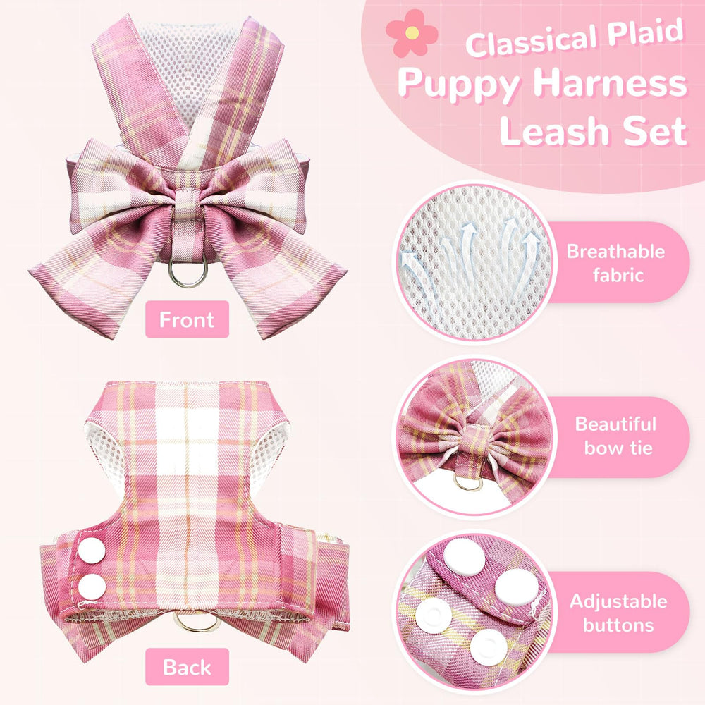UETZLTB small pet harness with D-ring and matching leash for coordinated outings.