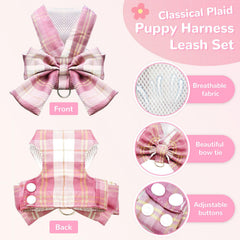 UETZLTB small pet harness with D-ring and matching leash for coordinated outings.