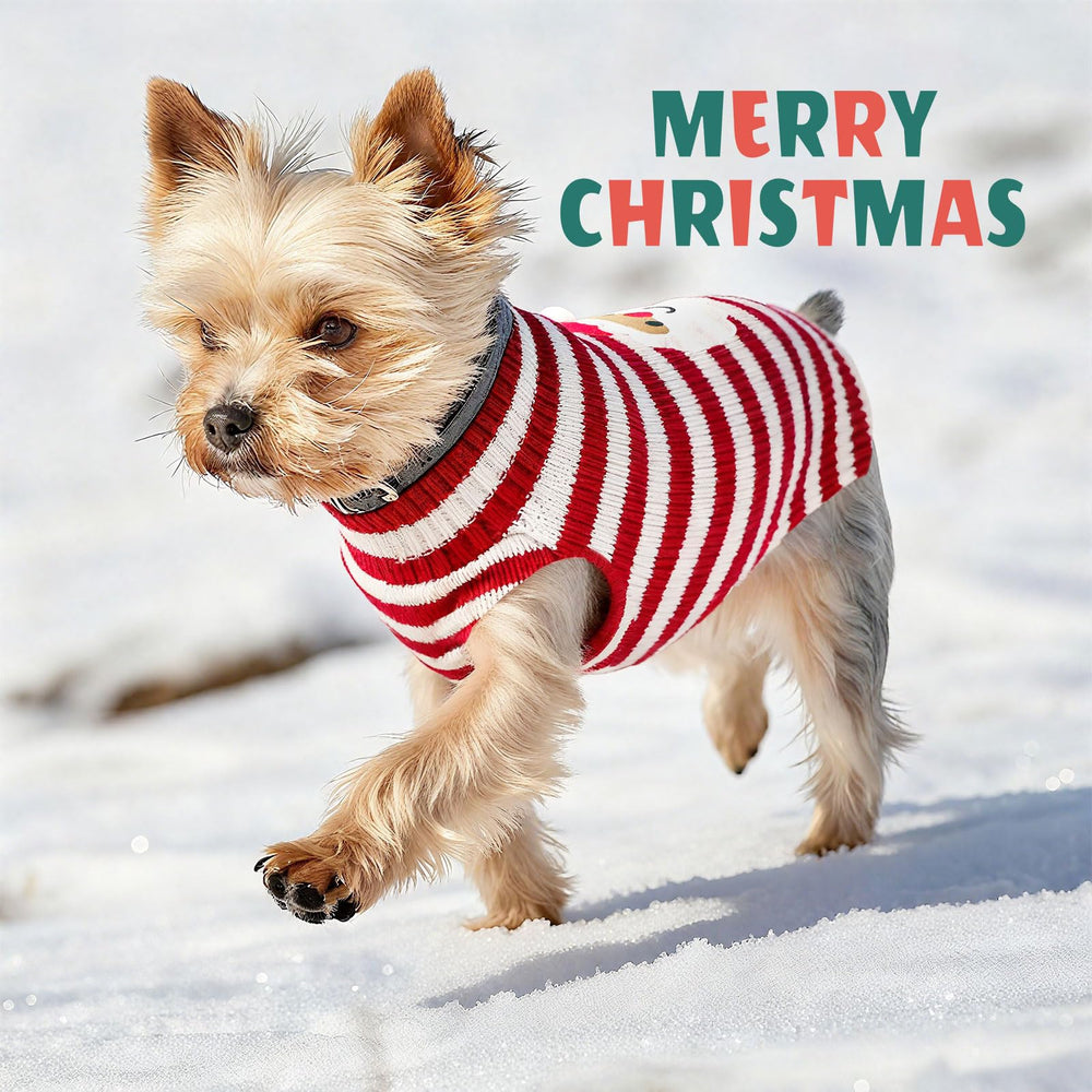 UETZLTB Christmas present knitwear supports cozy winter moments and festive photos.