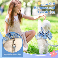 UETZLTB no-pull harness with breathable mesh keeps little dogs comfortable.