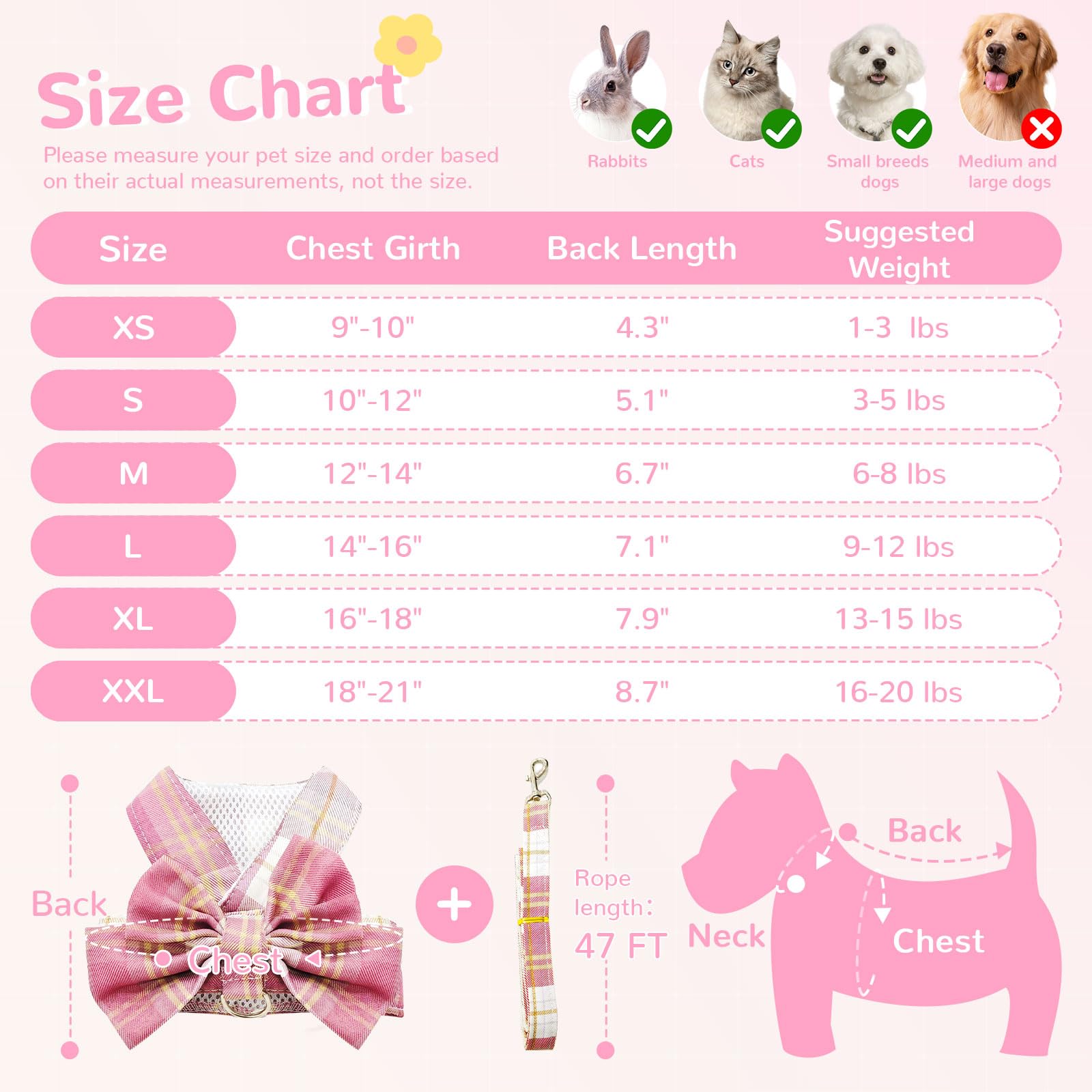 UETZLTB puppy harness shown during a walk, signaling everyday ease.
