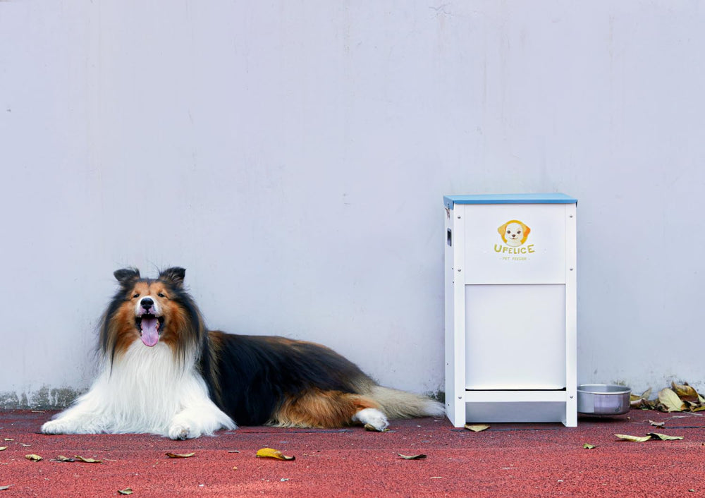 UFelice Dog Feeder easy-assembly-included allows quick setup.