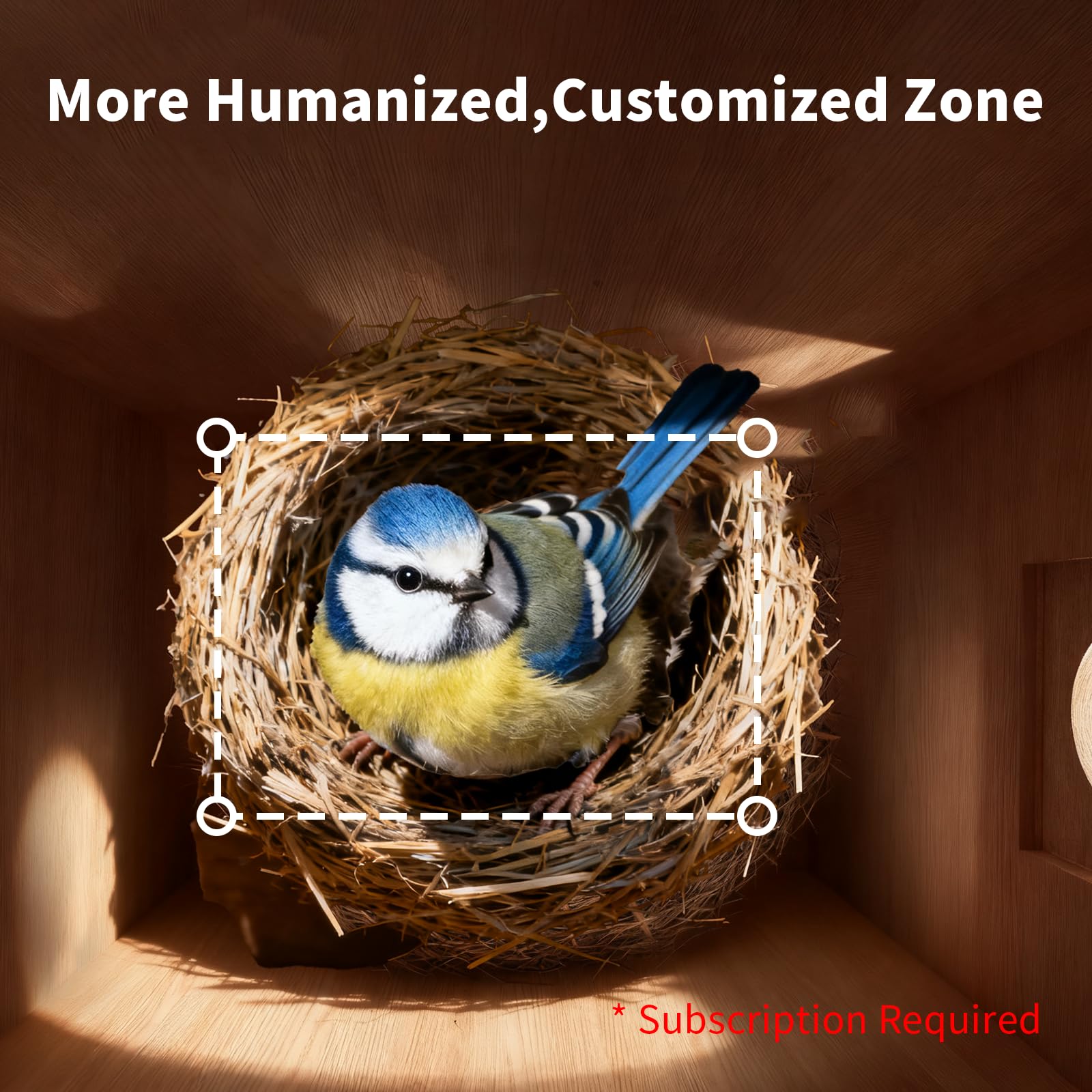 UIOOQ Bird House rustic exterior blends with gardens and balconies.