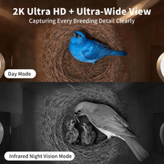 UIOOQ Bird House ventilation ports improve airflow for comfortable nest conditions.