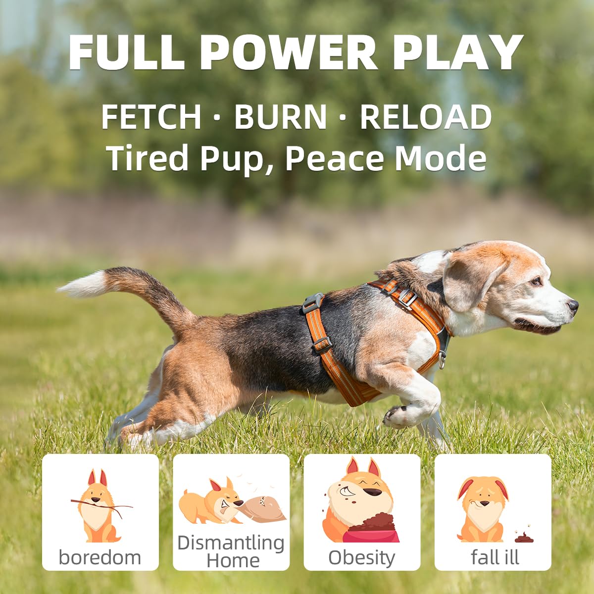 UJQW AutoDog Ball Launcher distance settings show adjustable throws for different play styles.