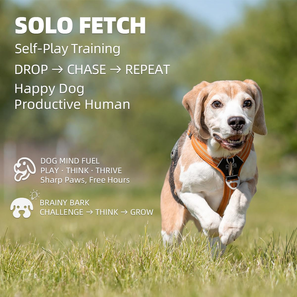 UJQW AutoDog Ball Launcher remote control view for convenient yard play.