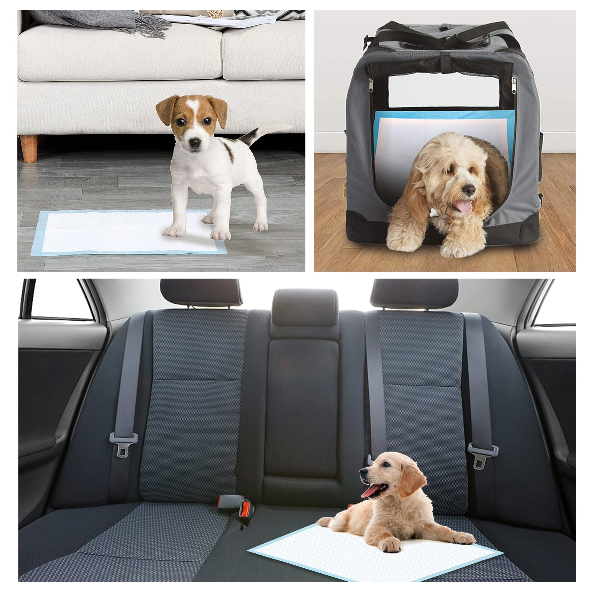 UKIYOE pads built-in attractant guides puppies to designated spot