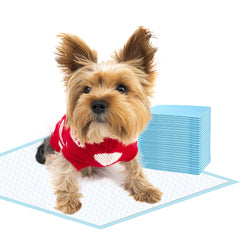 UKIYOE dog training pads quick-dry surface for easy puppy house-training