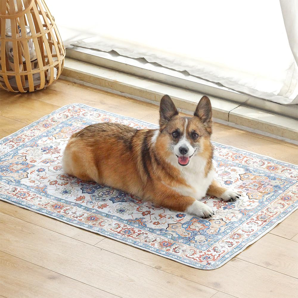 ULIGOTA four-layer protection shown for durable leak prevention and dry surfaces.