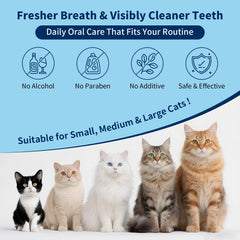 ulroyda cat dental kit cat brushing scene, supports daily oral care routine