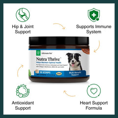 Nutra Thrive canine powder blends into meals with bacon flavor for easy feeding.