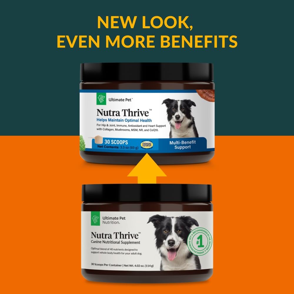 Vet-developed Nutra Thrive is USA-made for quality and safety.