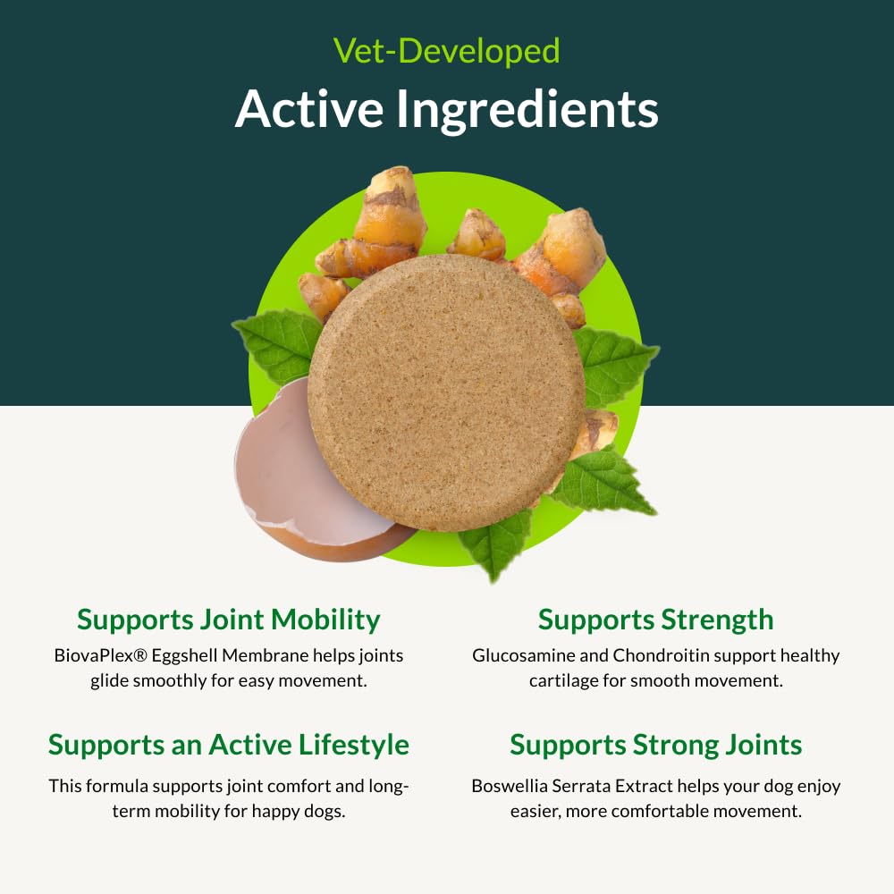 Juve Flex chews in hand ready for daily use to support mobility.