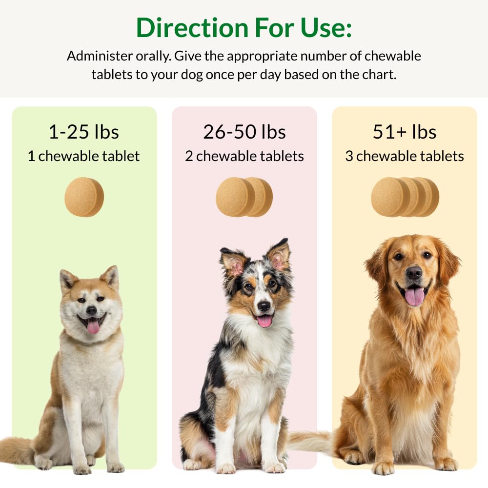 A dog on a walk with Juve Flex as part of joint-support routine.