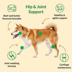 Juve Flex tablets close-up showing chewable joint support from Ultimate Pet Nutrition.